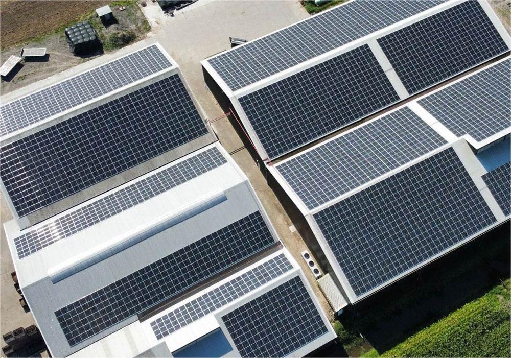 Waarom elke fabriek zou moeten overwegen om zonnepanelen te installeren